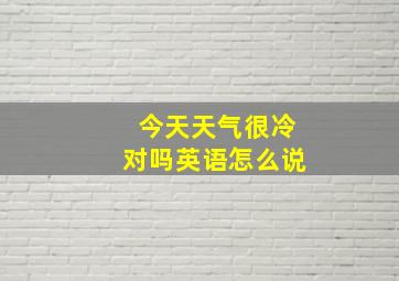 今天天气很冷对吗英语怎么说