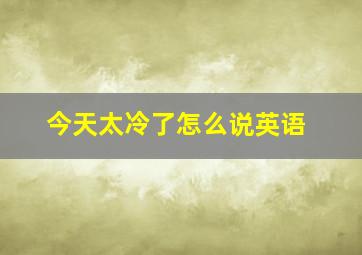 今天太冷了怎么说英语