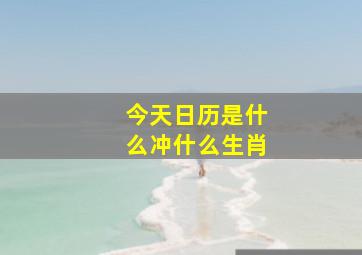 今天日历是什么冲什么生肖