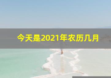 今天是2021年农历几月