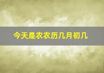 今天是农农历几月初几