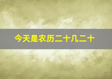 今天是农历二十几二十