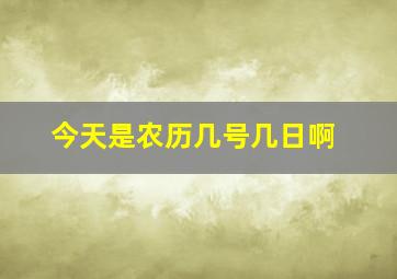 今天是农历几号几日啊