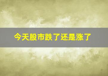 今天股市跌了还是涨了