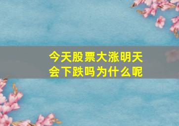 今天股票大涨明天会下跌吗为什么呢