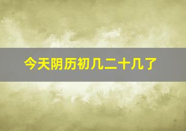 今天阴历初几二十几了