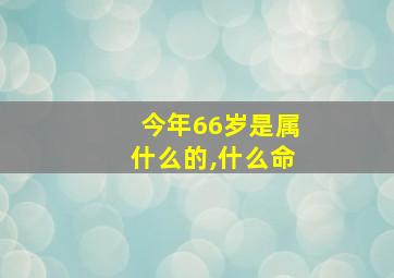 今年66岁是属什么的,什么命