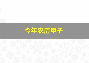 今年农历甲子