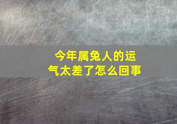 今年属兔人的运气太差了怎么回事