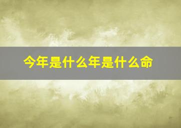 今年是什么年是什么命