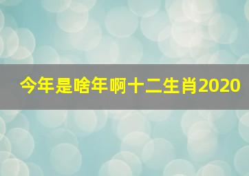 今年是啥年啊十二生肖2020