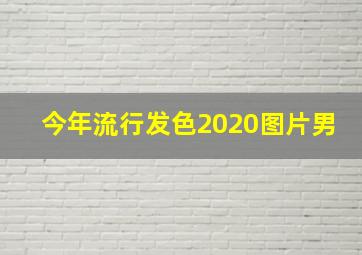 今年流行发色2020图片男