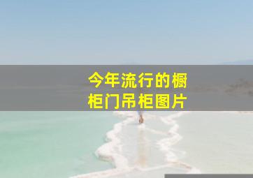 今年流行的橱柜门吊柜图片