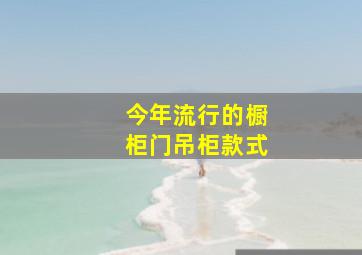 今年流行的橱柜门吊柜款式