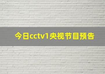 今日cctv1央视节目预告