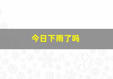 今日下雨了吗