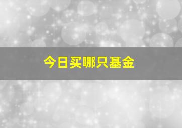 今日买哪只基金