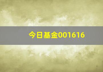 今日基金001616