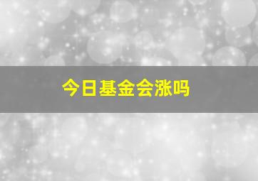 今日基金会涨吗