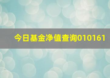 今日基金净值查询010161