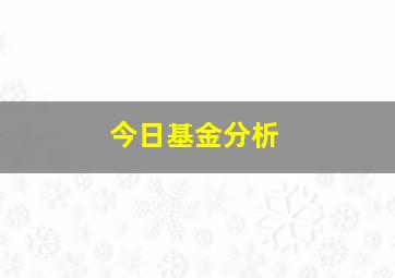 今日基金分析