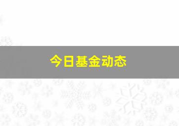 今日基金动态