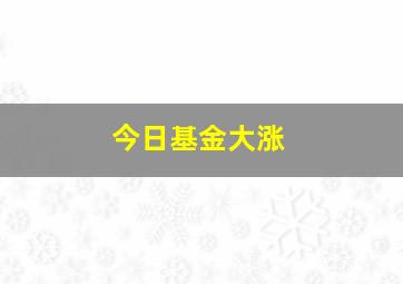 今日基金大涨