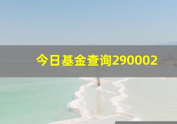 今日基金查询290002