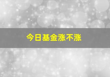 今日基金涨不涨