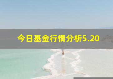 今日基金行情分析5.20