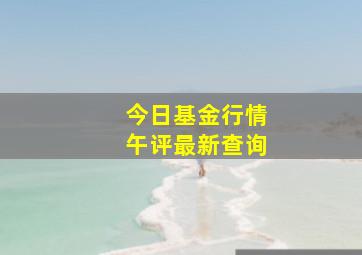 今日基金行情午评最新查询