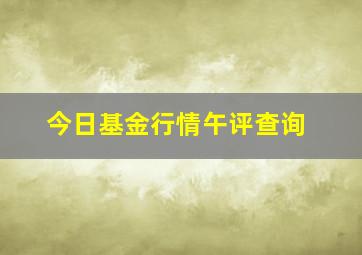 今日基金行情午评查询