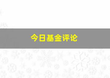 今日基金评论