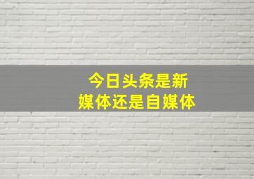 今日头条是新媒体还是自媒体