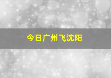 今日广州飞沈阳