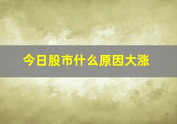 今日股市什么原因大涨