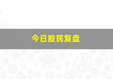 今日股民复盘