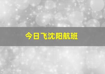 今日飞沈阳航班