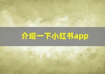 介绍一下小红书app