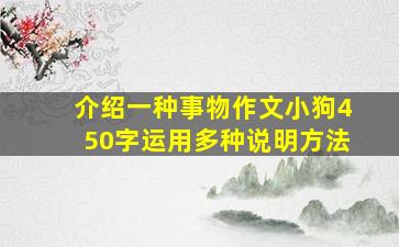 介绍一种事物作文小狗450字运用多种说明方法