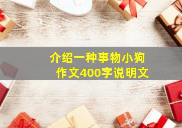 介绍一种事物小狗作文400字说明文