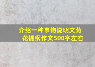 介绍一种事物说明文菊花提纲作文500字左右