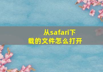 从safari下载的文件怎么打开