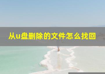 从u盘删除的文件怎么找回