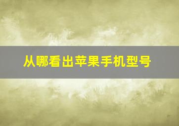 从哪看出苹果手机型号