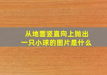 从地面竖直向上抛出一只小球的图片是什么