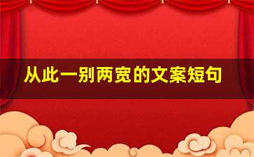 从此一别两宽的文案短句