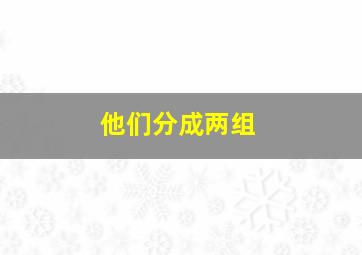 他们分成两组