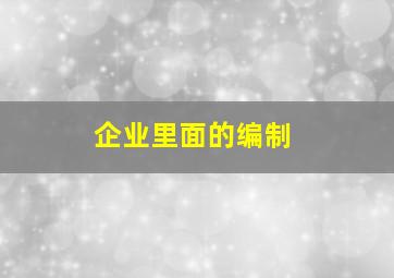 企业里面的编制