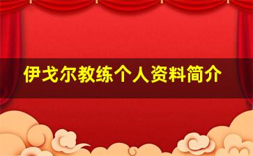 伊戈尔教练个人资料简介